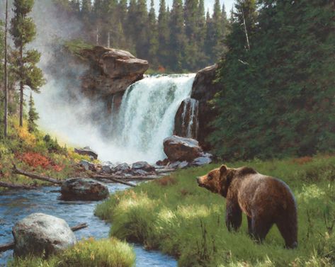 Cindy Baron, Art Gallery Landscape, Scott Christensen, Clyde Aspevig, Bear Artwork, North American Wildlife, Bear Paintings, Bear Pictures, Wildlife Paintings