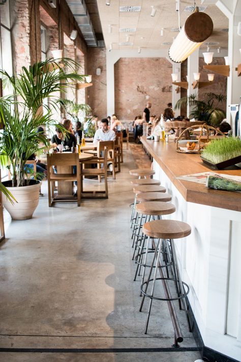 Flex & Kale - perfect for breakfast | Barcelona Hipster Cafe, Madrid Restaurants, Barcelona Restaurants, Barcelona Food, Infinity Pools, Brunch Places, Brunch Restaurants, Passport Travel, Bakery Design