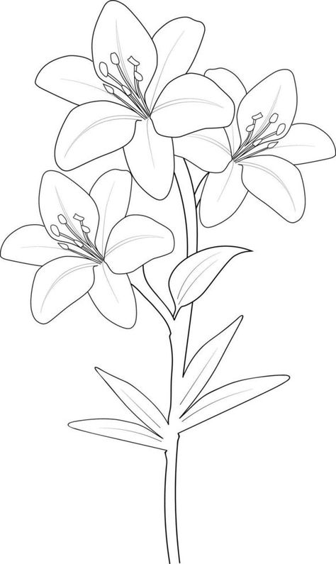 Easy sketch art of lily flower, line art bouquets of floral hand drawn illustration, doodle zentangle, tattooing drawing coloring page, and book isolated image clip art botanic collection, vector art Many Flowers Drawing, Easy Lilly Drawing, Line Art Flower Drawings, Flower Line Drawing Botanical Illustration, Cute Flower Doodles Easy, Lily Flower Line Art, Flowers Outline Drawing, Lily Line Drawing, Lily Flower Sketch