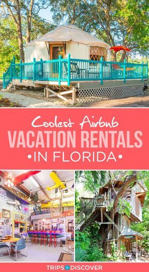 Coolest Airbnb, Unique Accommodation, Unique Airbnb, Florida Travel Destinations, Florida Getaway, Florida Travel Guide, Florida Adventures, Vacation Florida, Florida Destinations