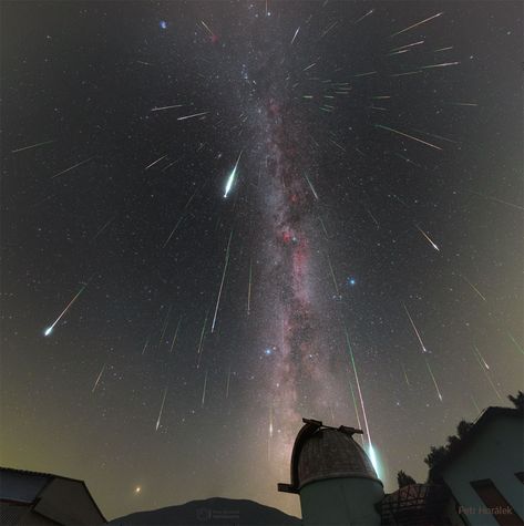 9 - SCIENCE: ASTRONOMY - Meteor Shower: Perseids from Perseus Nasa Pictures, Perseid Meteor Shower, Astronomy Pictures, Meteor Shower, Good Week, Space Stars, Look At The Stars, August 9, To Infinity And Beyond