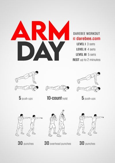 No-Equipment Arms Workouts Collection Intense Arm Workout, Arm Workout No Equipment, Arm Day Workout, Arm Workout For Beginners, Dumbbell Arm Workout, Good Arm Workouts, Hiit Workout Routine, Tone Arms Workout, Arm Workouts At Home