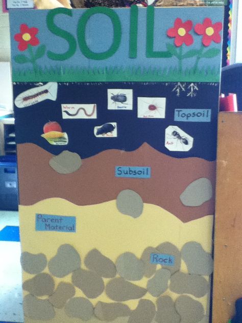 Soil Bulletin Board used for a grade 3 classroom. Grade 3 Soils Unit, Soils In The Environment Grade 3, Soil Craft, Grade 3 Classroom, Layers Of Soil, Poster Board Ideas, Grade 3 Science, Soil Science, Healthy Community