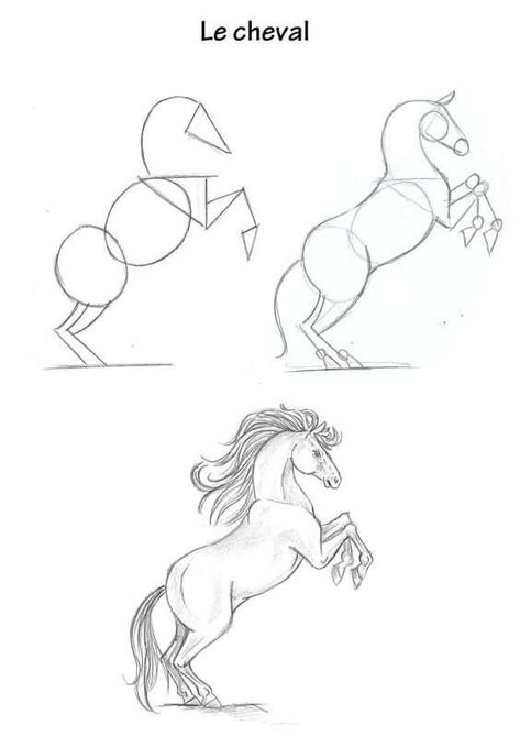 Horse Drawing Tutorial, Horse Art Drawing, Pencil Drawings Of Animals, Horse Sketch, Animal Drawings Sketches, Art Tools Drawing, Horse Drawing, Horse Drawings, Easy Drawings Sketches