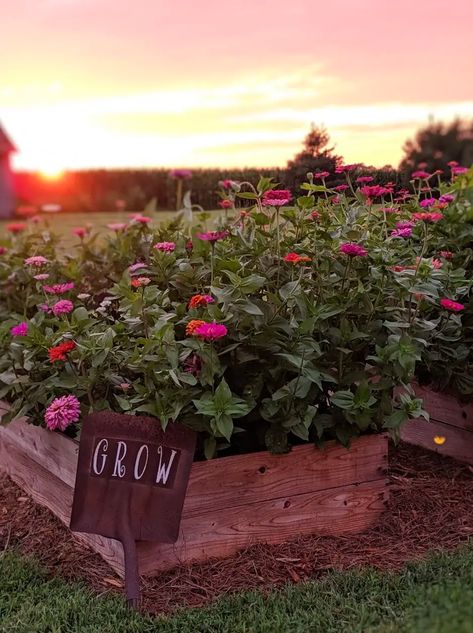 Bricks 'n Blooms Weekly 14 - Stacy Ling Flower Market Stand, Make Raised Garden Beds, Making Raised Garden Beds, Making Raised Beds, Cheap Raised Garden Beds, Diy Garden Bed, Green Gardens, Cheap Flowers, Raised Garden Beds Diy