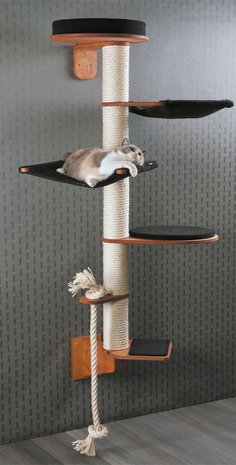 Katt Grejer, Diy Cat Tree, Cat Towers, Cat Playground, Cat Shelves, Cat Condo, Cat Tower, Scratching Post, Cat Room