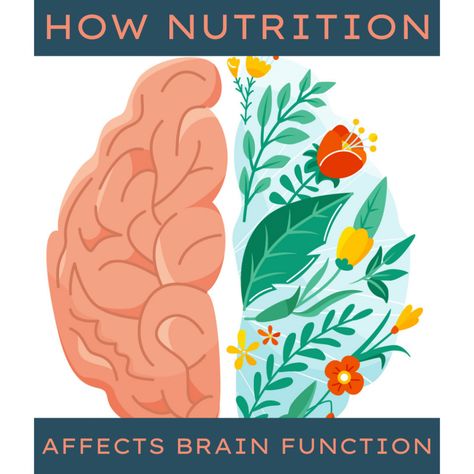 Here are my tips for optimizing your mental function. Brain Nutrition, Daily Nutrition, Brain Function, Your Brain, Critical Thinking, The Truth, Brain, Nutrition