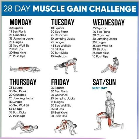 Fast Muscle Building Workout, Easy Workouts To Gain Muscle, Bulking Routine Build Muscle, Gym Diet For Beginners, Workouts Gain Muscle, At Home Workouts To Gain Muscle, Exercise For Gaining Muscles, Workout For Gaining Muscle, Workouts To Help Gain Muscle