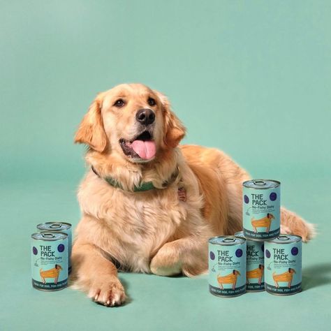 Pet Food Photography Ideas, Dog Food Advertisement, Pet Product Photography Ideas, Dog Food Product Photography, Dog Food Photoshoot, Dog Food Photography, Pet Advertising, Animal Photoshoot, Food Technology