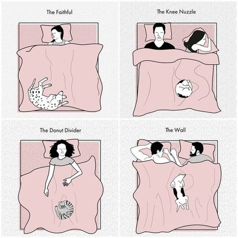 10 Pet Sleeping Positions And What They Mean Dog Sleeping In Bed, Dog Sleeping Positions, Sleeping Positions, Small Baby, Sleeping Dogs, Cat Sleeping, Little Puppies, The Study, Dog Behavior