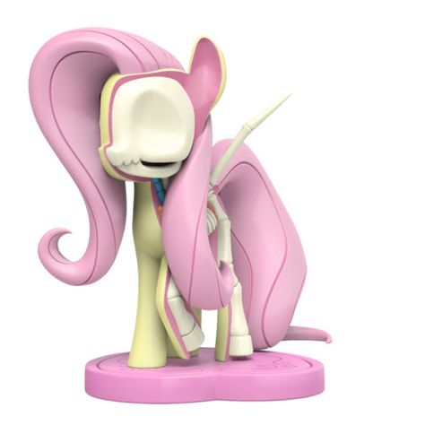 Rainbow Dash Wonderbolt, Fluttershy And Twilight Sparkle, Fluttershy And Twilight, Mlp Merch, Skeleton Figure, My Little Pony Figures, My Little Pony Collection, Vinyl Art Toys, Toy Sculpture