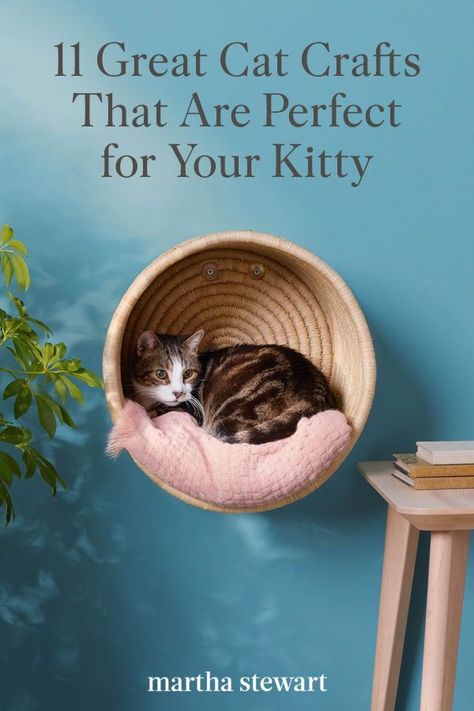 Whichever DIY idea you decide on, we're paw-sitive that any cat will adore these handmade toys and surprise treats. #marthastewart #pets #diypets #petbeds #petfurniture #diyprojects Diy Pet Room Ideas, Diy Catio Toys, Decorating Diy Ideas, Cat Wall Bed Diy, Diy Catification Ideas, Diy Cat Cubby, Diy Crafts For Cats, Diy Cat Ideas Projects, Cat Wall Boxes Diy