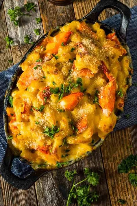 This Seafood Mac and Cheese is ultra creamy with two types of cheese and loaded with your favorite seafood, all baked together to golden brown perfection. Try it with lobster, shrimp, or crab - or all three! #thewickednoodle #seafoodmacandcheese #lobstermacandcheese Seafood Mac And Cheese Recipe, Lobster Mac N Cheese Recipe, Seafood Mac And Cheese, Crab Mac And Cheese, Macaroni Cheese Recipes, Seafood Bake, Lobster Mac, Lobster Mac And Cheese, Lobster Recipes