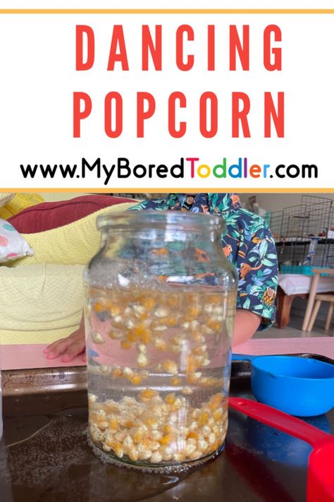 Dancing Popcorn: Fun science experiment. It is all taste-safe which is perfect for toddlers and they love watching the chemical reaction. Dancing Kernels Experiment, Dancing Popcorn Experiment, Science Experiments For Toddlers, Dancing Popcorn, 4h Projects, Toddler Science Experiments, Science For Toddlers, Fun Activities For Toddlers, Early Childhood Teacher