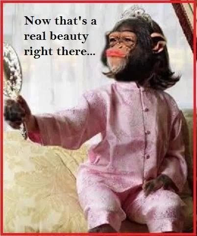 Beauty Funny Monkey Pictures, Regnul Animal, رورونوا زورو, Monkey Pictures, Monkey Art, Funny Happy Birthday, A Monkey, Monkeys Funny