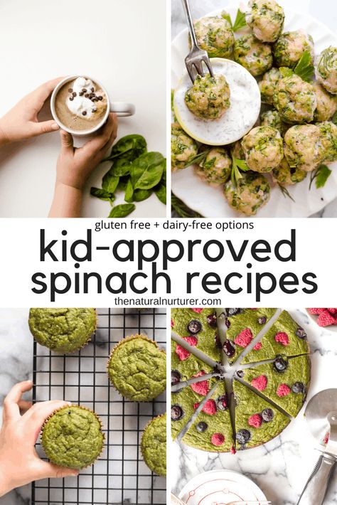 Looking to get a little more spinach in your kids? These healthy spinach recipes are going to be total game changers in your home! #hiddenveggies #healthykids #glutenfree #veggieloaded Spinach Blw Recipes, Spinach Toddler Recipes, Healthy Spinach Recipes, Baby Spinach Recipes, Spinach Recipes Healthy, Family Meal Planning Healthy, Natural Nurturer, Spinach Pancakes, Baby Lunch