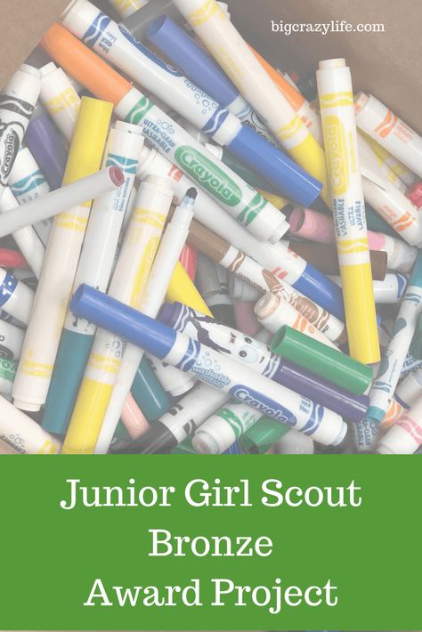 Junior Girl Scouts Activities, Girl Scout Brownies Meetings, Junior Girl Scout Badges, Girl Scout Meeting Ideas, Girl Scout Troop Leader, Girl Scout Badges, Girl Scout Activities, Troop Leader, Award Ideas