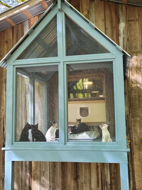 This Patterns & Blueprints item by Catio828 has 331 favorites from Etsy shoppers. Ships from United States. Listed on Apr 25, 2024 Catio Aesthetic, Cat Inclosers Outside, Simple Catio Plans, Cat Enclosure Ideas, Catio Plans Diy, Catios Ideas For Cats, Catios For Cats Window, Cat Garage, Cat Hut