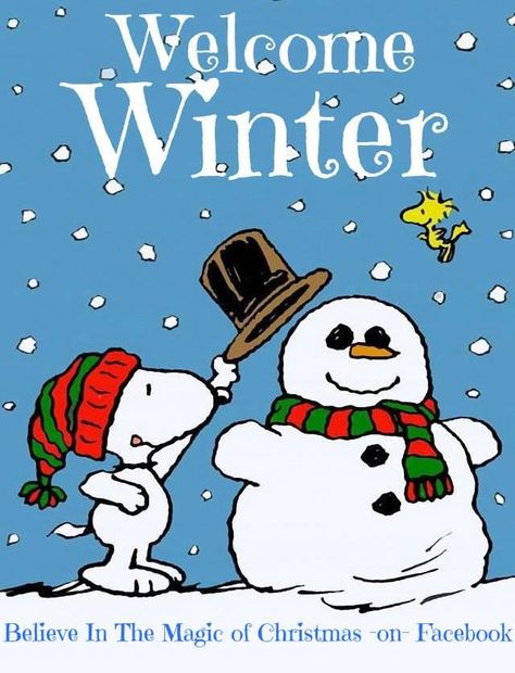 Welcome Winter winter winter quotes hello winter welcome winter Snoopy Friday, Peanuts Gang Christmas, Good Morning Sunday, Good Morning Snoopy, First Day Of Winter, Snoopy Comics, Quote Pictures, Welcome Winter, Snoopy Images