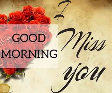 Good Morning Miss You, Good Morning Couple, Good Morning Rose Images, Beautiful Good Morning Images, Romantic Good Morning Messages, Love Good Morning Quotes, Beautiful Good Morning, Wallpaper Love, Good Morning Roses