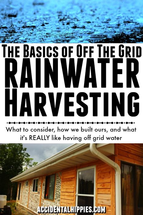 What do you need to know before setting up an off the grid rainwater harvesting system for your home? Read this to see exactly how we did it. #offthegrid #rainwater Rain Water Collection Diy, Greenhouse Design, Rainwater Collection, Water From Air, Rainwater Harvesting System, Lawn Sprinklers, Water Collection, Rainwater Harvesting, Rain Barrel