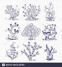 Draw Underwater, Plant Doodle, Underwater Plants, Ballpoint Pen Drawing, Sea Plants, Plant Drawing, Cartoon Background, Surf Art, Ink Pen Drawings