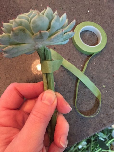 How To Wire a Succulent for a Bouquet - Real Flower Business Diy Succulent Corsage, Bouquet Arrangements Diy, Succulent Bouquet Diy, Diy Boutonniere Wedding, Succulent Corsage, Succulent Boutonniere, Succulent Bouquet Wedding, Cactus Wedding, Succulent Bouquet