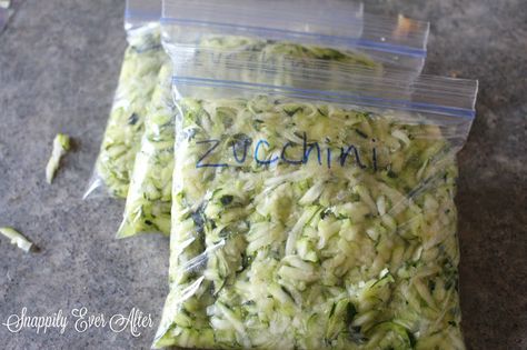 Freeze Shredded Zucchini, Can You Freeze Zucchini, Canned Zucchini, Freezing Zucchini, Freezing Vegetables, Snap Beans, Canned Food Storage, Box Grater, Shredded Zucchini