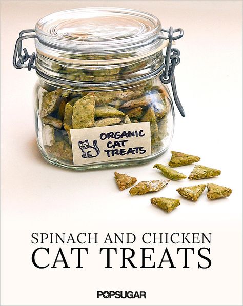 Homemade Organic Spinach and Chicken Cat Treats Organic Cat Treats, Diy Cat Treats, Homemade Pet Treats, Pet Treats Recipes, Homemade Cat Food, Chicken Cat, Food Dog, Homemade Cat, Cat Treat Recipes