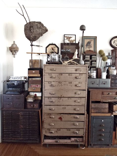 Dental cabinets, printer's desk, bank cabinet from the 1800s... Ideal specimen cabinets for storage and display. Specimen Cabinet, Craft Studio Design, Victorian Naturalist, Dental Cabinets, Goblin Aesthetic, Cabinets For Storage, Artist Studio Space, Museum Storage, Barn Shop