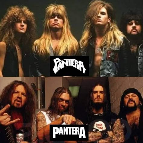 Metal Head Bf, Rex Brown, Pantera Band, Cowboys From Hell, Metal Musicians, Stay Gold Ponyboy, Dimebag Darrell, Rock History, Heavy Rock