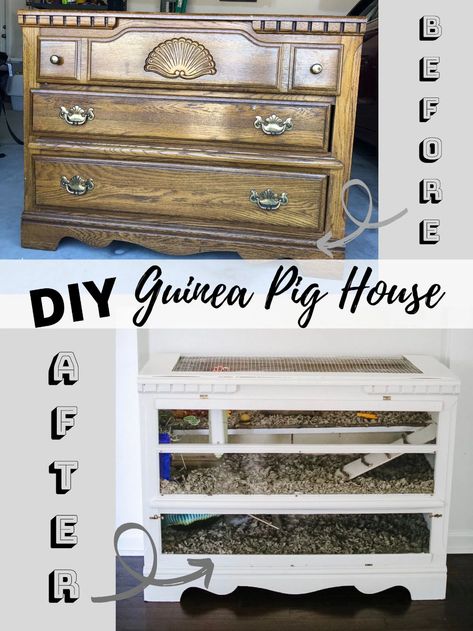 Hamster Ideas, Diy Guinea Pig Cage, Dresser Turned, Pig Ideas, Guinea Pig Diy, Guinea Pig House, Pig House, Kid Projects, Guinea Pig Cage