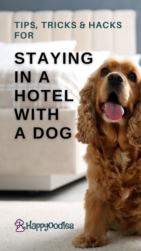 Natural Dog Remedies, Holistic Dog Care, Road Trip With Dog, Dog Friendly Vacation, Dog Remedies, Dog Hotel, Dog Friendly Beach, Dog Friendly Hotels, Pregnant Dog