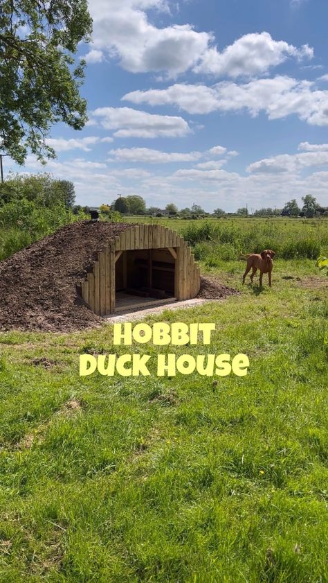 Jess Gough | Any name suggestions for the ducks? 😅 Here’s how we built our hobbit-inspired duck home. We cut some reclaimed plywood into a semi-circle... | Instagram Duck House By Pond, Duck Pond Backyard, Geese House Ideas, Duck Run Ideas, Duck House Ideas, Duck Ramp, Goose Coop, Duck Coop Ideas, Duck House Plans