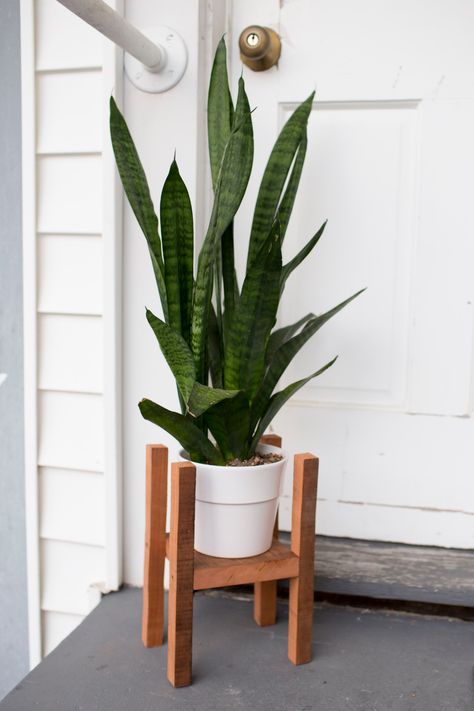 Is your dream planter a little over budget? Using simple cuts and a rustic piece of wood, you can make your own mid-century modern-style plant stand. Plant Stand Ideas, Mid Century Modern Plant Stand, Diy Mid Century Modern, Modern Table Legs, Mid Century Modern Planter, Diy Mid Century, Diy Hanging Planter, Tall Plant Stands, Woodwork Projects