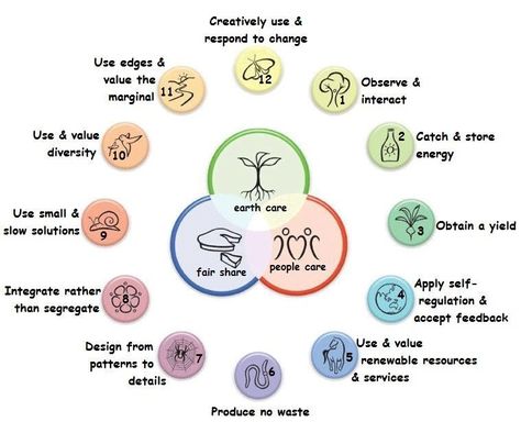 Permaculture Principles, Herb Shop, Uses For Coffee Grounds, Permaculture Design, Natural Ecosystem, Changing Habits, Self Regulation, Garden Landscape Design, Energy Use