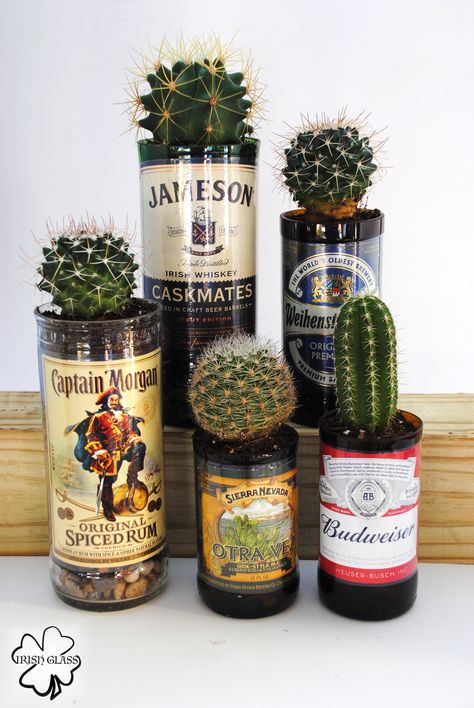 Landscaping Florida, Liquor Bottle Crafts, Diy Home Accessories, Stylish Curtains, Accessory Ideas, Bathroom Decor Ideas, Glass Bottle Crafts, House Plants Decor, Plant Mom