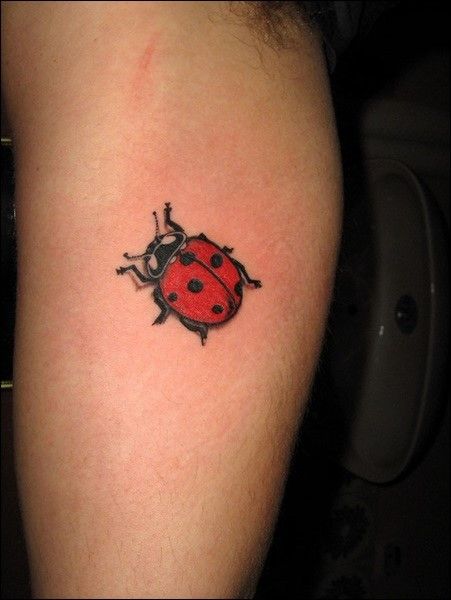 I got me a tiny ladybug on my foot Ladybird Tattoo, Ladybug Tattoos, Lamb Tattoo, Ladybug Tattoo, Small Neck Tattoos, Tribute Tattoos, Lady Bug Tattoo, Bug Tattoo, Omerta Tattoo