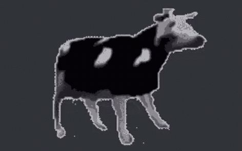 Polish Dancing Cow GIF - Polish Dancing Cow - Discover & Share GIFs Dancing Polish Cow, Animated Gif, Cool Gifs, Moose Art, Dancing, Cow, Gif, Memes, Funny