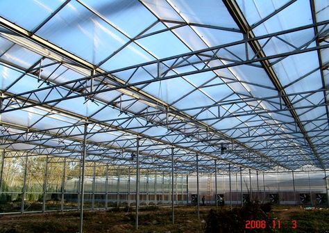 Clear Huili Hollow 3-Wall Protection Polycarbonate Sheets for Skylight… Sustainable Greenhouse, Polycarbonate Sheet, Endangered Plants, Horticulture, Shanghai, Sustainability, Shells, Architecture, Building