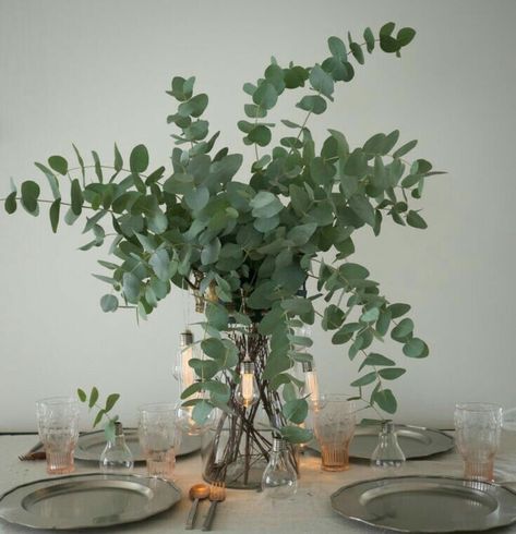 Cheap Wedding Table Centerpieces, Social Kitchen, Eucalyptus Centerpiece, Plant Centerpieces, Tafel Decor, Eucalyptus Wedding, Deco Floral, Wedding Table Centerpieces, Flower Centerpieces