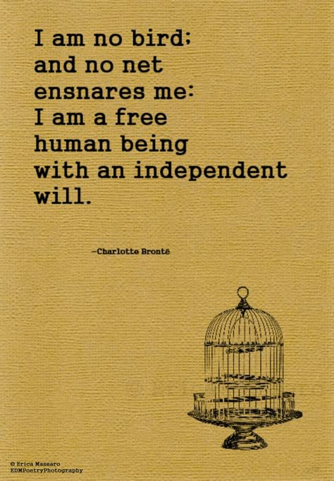 Cage Quotes, Bird Quotes, Charlotte Bronte, Literature Quotes, Jane Eyre, Literary Quotes, Quotable Quotes, Bird Cage, Beautiful Quotes