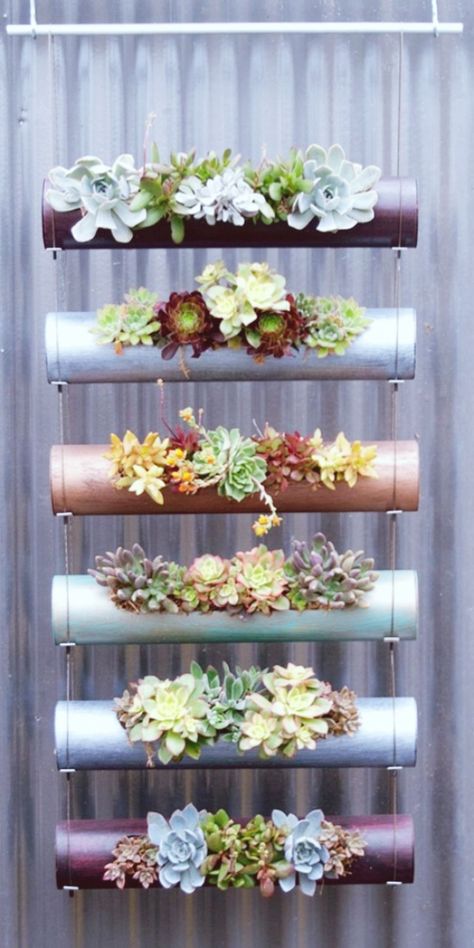 Unique-PVC-Pipe-Decoration-Ideas Pot Gantung, Children Garden, Micro Garden, نباتات منزلية, Hanging Succulents, Vertical Gardens, Cactus Y Suculentas, Hanging Pots, Ideas Garden