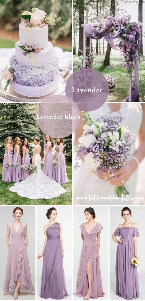 2023 fall wedding color palette in lavender and lavender blush Heather Purple Wedding, Ivory Lavender Wedding, Jade And Lavender Wedding, Purple Lavender Wedding Theme, Lavender Wedding Scheme, Lilac And Light Grey Wedding, Winter Wedding Lavender, Dusty Rose And Lavender Wedding, Rustic Lavender Wedding Ideas