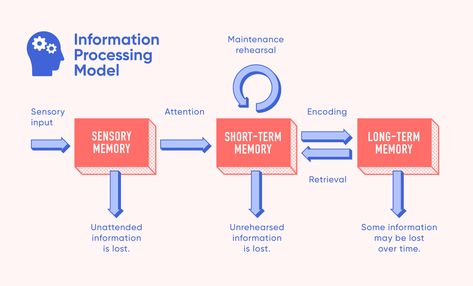 What is Information Processing Theory? | LearnUpon Information Processing Theory, Social Cognitive Theory, Adult Learning Theory, Memory Strategies, Psychology Notes, Psychology Studies, Psychology Major, Information Processing, Instructional Design