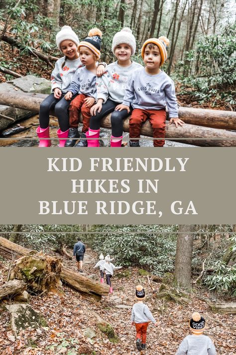 Blue Ridge Georgia With Kids, Waterfalls In Georgia, Natural Water Slide, Georgia Us, Helen Ga, Blue Ridge Georgia, Blue Ridge Ga, Fall Road Trip, Family Hiking