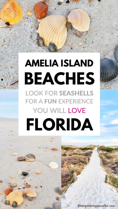 Florida road trip. Visit the blog for ideas of things to do on Amelia Island! florida vacation ideas. florida seashells. florida a1a. fernandina beach. northeast florida. jacksonville florida day trips. near southern georgia. us travel destinations. amelia island beach. outdoor vacation ideas. outside. florida aesthetic. shelling beaches. beach vacation. flashpacking america florida. Amelia Island Florida Things To Do, Cayo Costa State Park, Florida Seashells, Florida Road Trip, Florida Jacksonville, Southern Georgia, Fernandina Beach Florida, America Florida, Blue Springs State Park