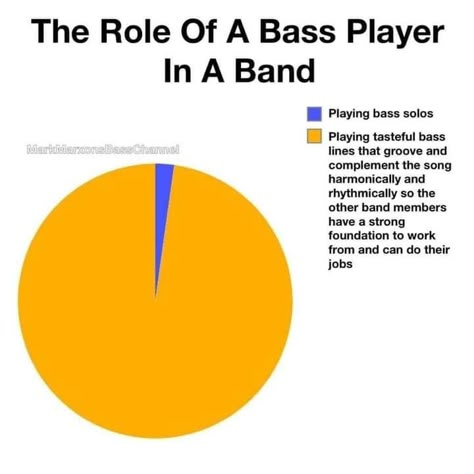 Bass Guitar Humor, Bass Memes, Bass Aesthetic, Orchestra Humor, Musician Memes, Marching Band Jokes, Learn Bass Guitar, Real Memes, Musician Humor