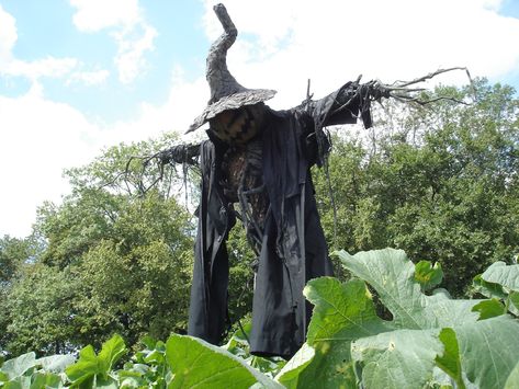 Halloween Scarecrows, Scarecrow Ideas, Halloween Outside, Yard Haunt, Halloween Props Diy, Halloween Scarecrow, Samhain Halloween, Halloween Board, Halloween Outdoor