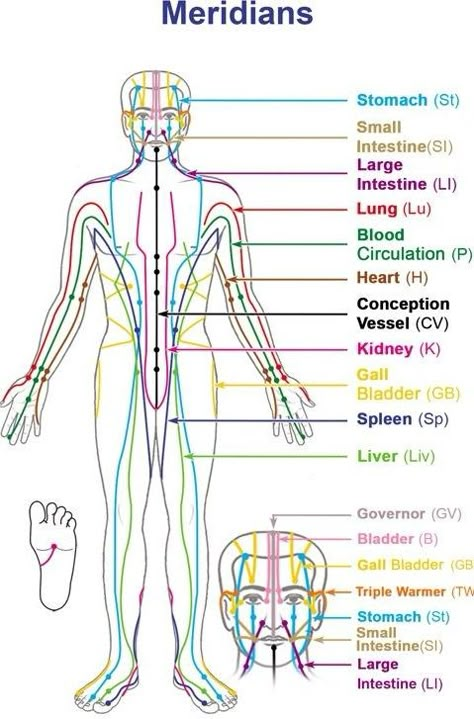 Body Energy Flow, Punkty Spustowe, Meridian Acupuncture, Polarity Therapy, Meridian Energy, Acupressure Therapy, Reflexology Chart, Energy Therapy, Shiatsu Massage